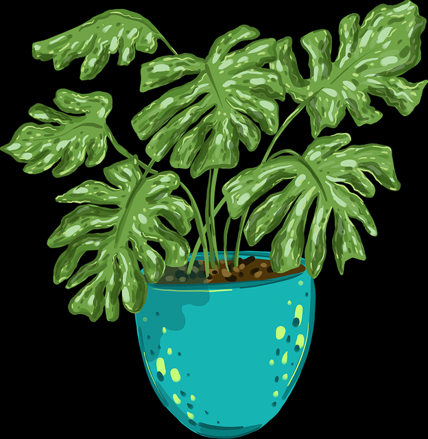 微密圈更新后台数据被扒:微密圈私密曝光令人咋舌