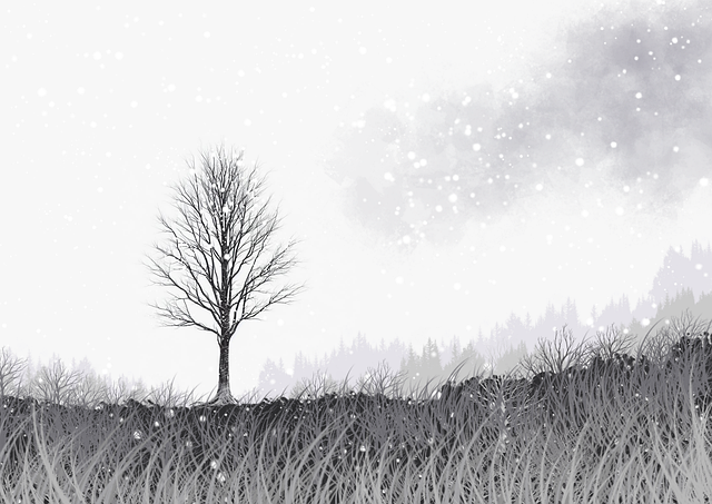 每日热播榜 - aaa在线观看免费账号注册与管理技巧,aaaq