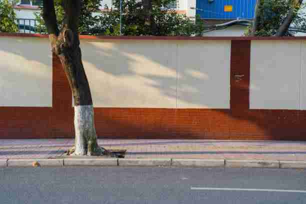 每日大赛最新赛事日程全览|精彩瞬间集锦,每日参赛时间什么时候更新