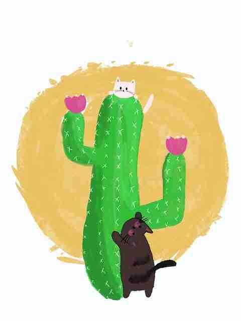 资源导航|aaa在线观看免费全网更新速度评测,aoa导航