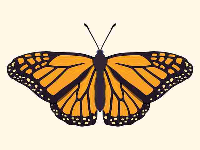 热门片单分享 - aaa在线观看免费播放卡顿问题解决方案，aaakx